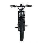 Electric Mountain Bike for Adults | 20 x 4.0 Fat Tires, 1000W Motor, 48V 20Ah Removable Battery, Max Speed 45MPH, Shi Mano 7-Speed for Off-Road Adventures